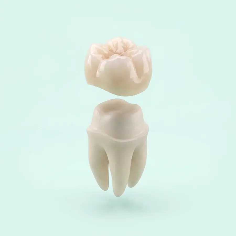 Coroa dentária