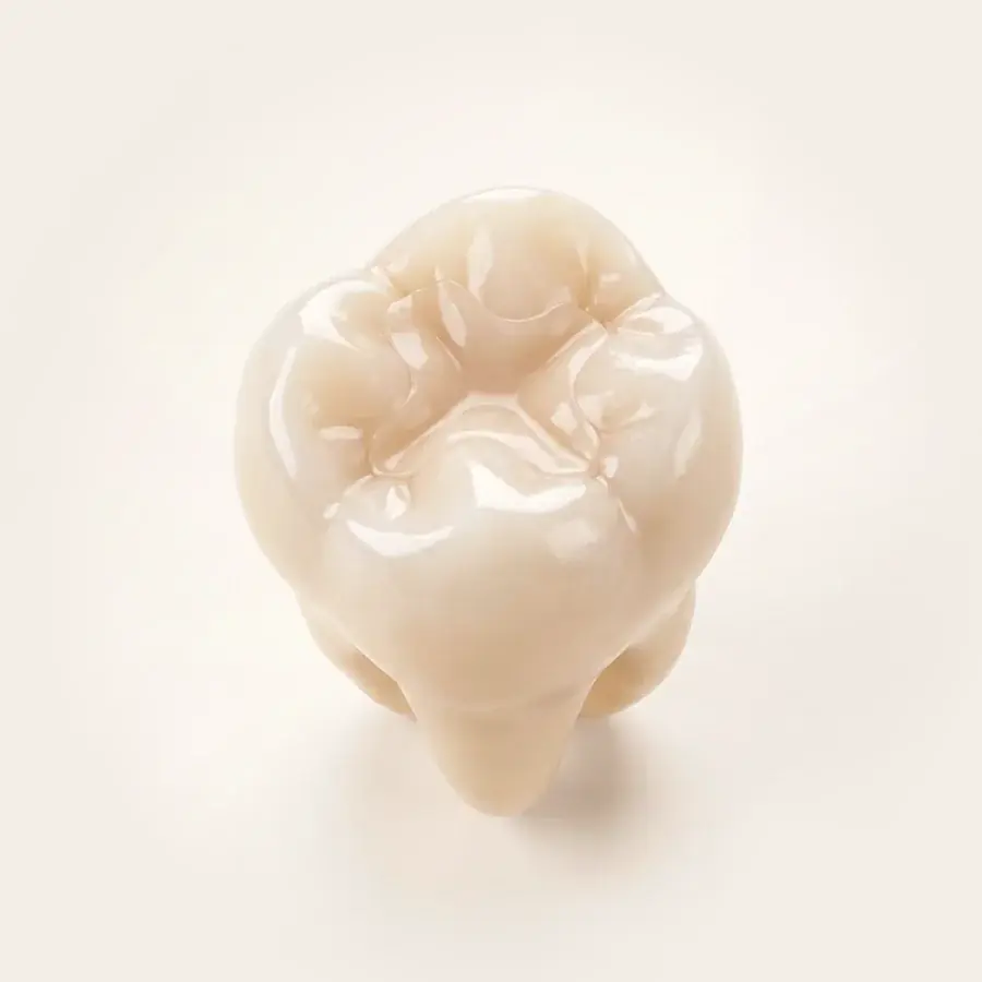 Dente molar