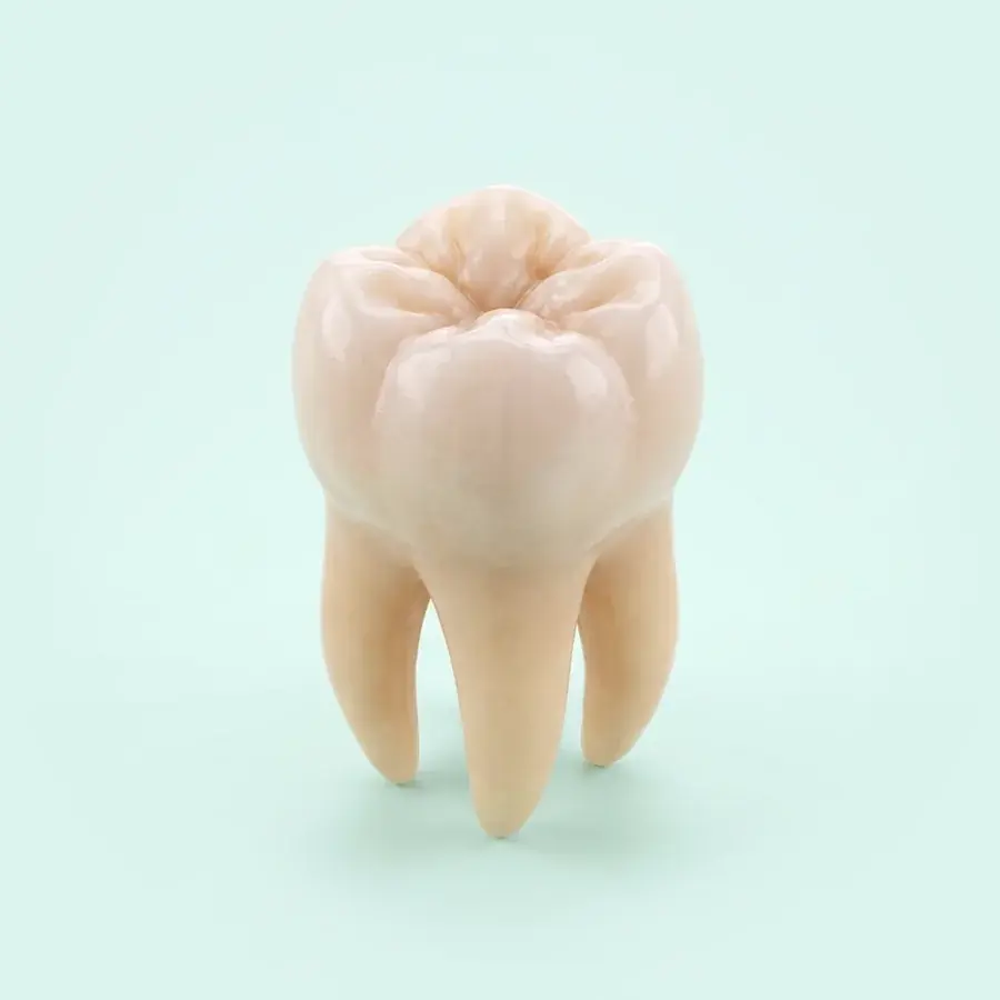Dente do siso